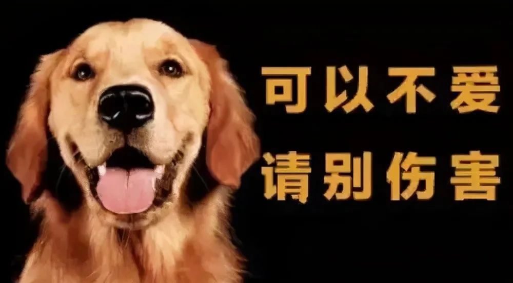 微信图片_20211116223636.jpg 微信图片_20211116223636.jpg